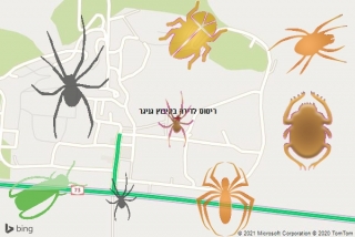 שירות ריסוס בקיבוץ גניגר - ריסוס לדירה בקיבוץ גניגר