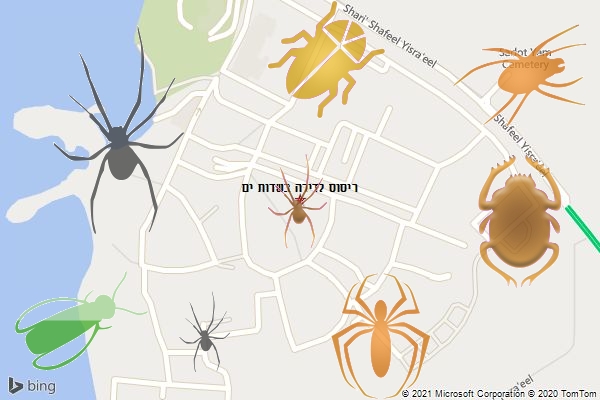 ריסוס לדירה בשדות ים