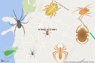 שירות ריסוס בשדות ים - ריסוס לדירה בשדות ים