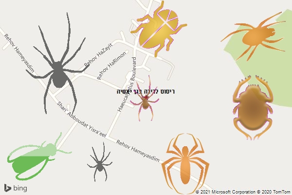 ריסוס לדירה בגן יאשיה
