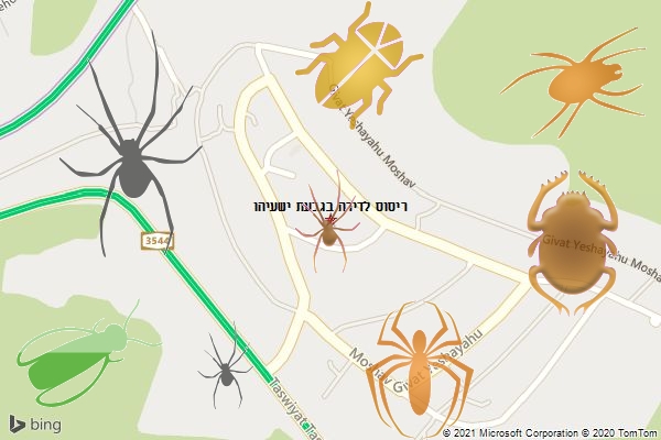 ריסוס לדירה בגבעת ישעיהו