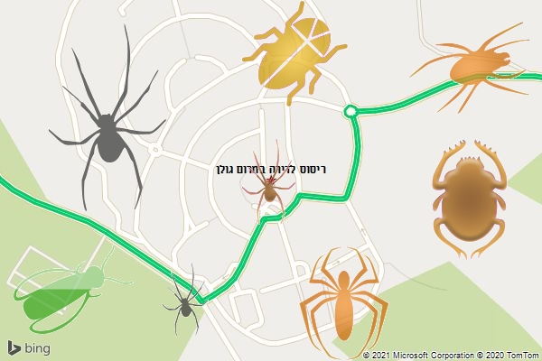 ריסוס לדירה במרום גולן