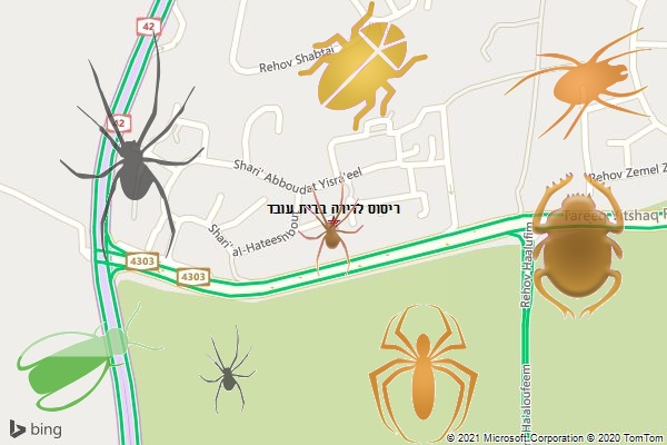 ריסוס לדירה בבית עובד
