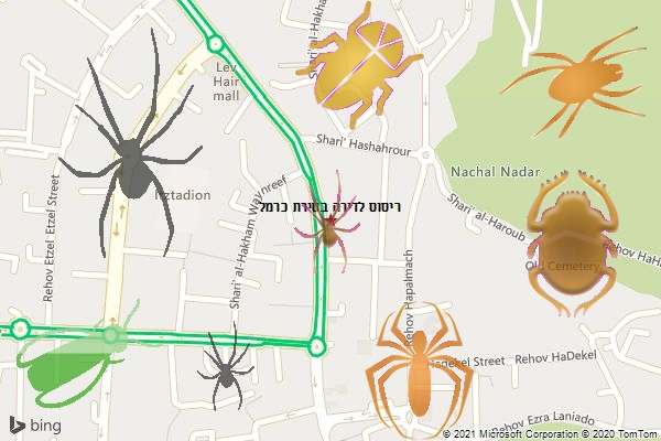 ריסוס לדירה בטירת כרמל