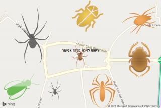 שירות ריסוס בשדה אליעזר - ריסוס לדירה בשדה אליעזר