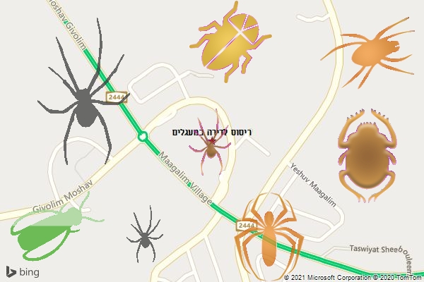 ריסוס לדירה במעגלים