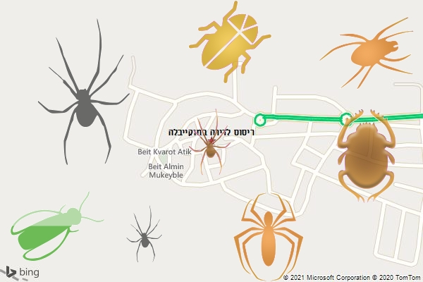 ריסוס לדירה במוקייבלה