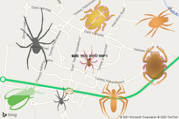 ריסוס לדירה בכפר מונש