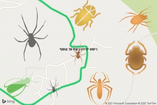  באום אל קוטוף - ריסוס לדירה באום אל קוטוף