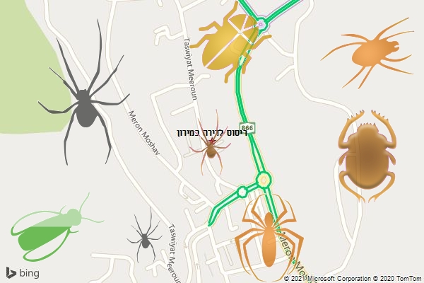 ריסוס לדירה במירון