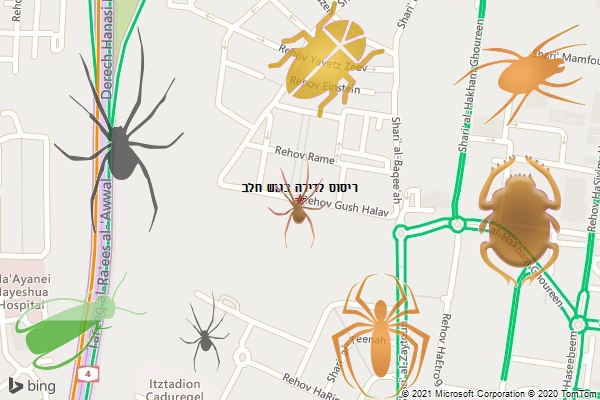 ריסוס לדירה בגוש חלב