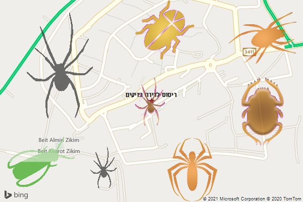 ריסוס לדירה בזיקים