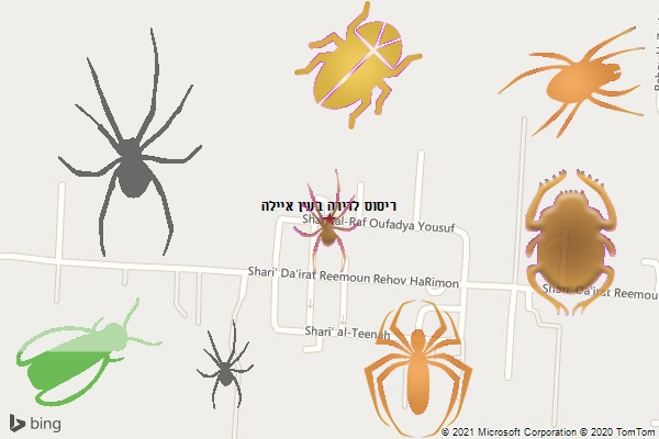 ריסוס לדירה בעין איילה