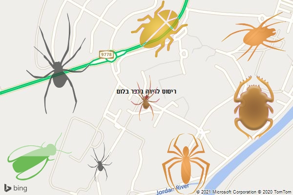 ריסוס לדירה בכפר בלום