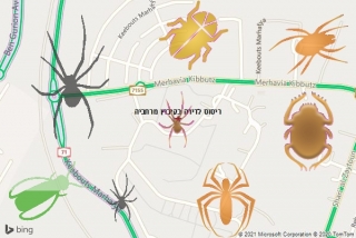 שירות ריסוס בקיבוץ מרחביה - ריסוס לדירה בקיבוץ מרחביה
