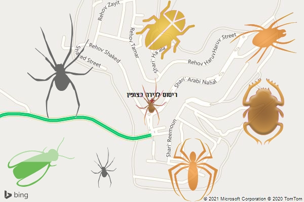 ריסוס לדירה בצופין