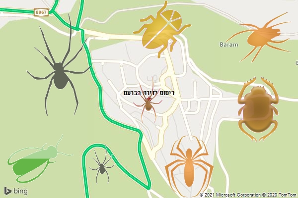 ריסוס לדירה בברעם