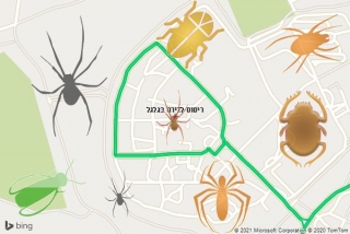 שירות ריסוס בגלגל - ריסוס לדירה בגלגל