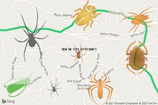 שירות ריסוס בדיר אל אסד - ריסוס לדירה בדיר אל אסד