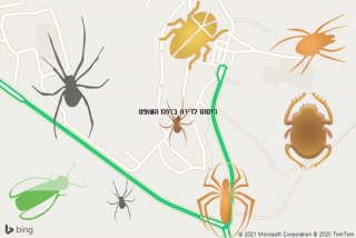 שירות ריסוס ברמת השופט - ריסוס לדירה ברמת השופט