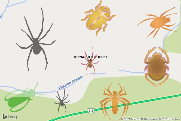 ריסוס לדירה באפיניש