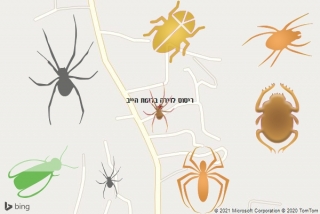 שירות ריסוס ברומת הייב - ריסוס לדירה ברומת הייב