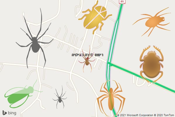 ריסוס לדירה באילניה