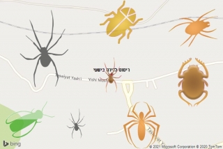 שירות ריסוס בישעי - ריסוס לדירה בישעי
