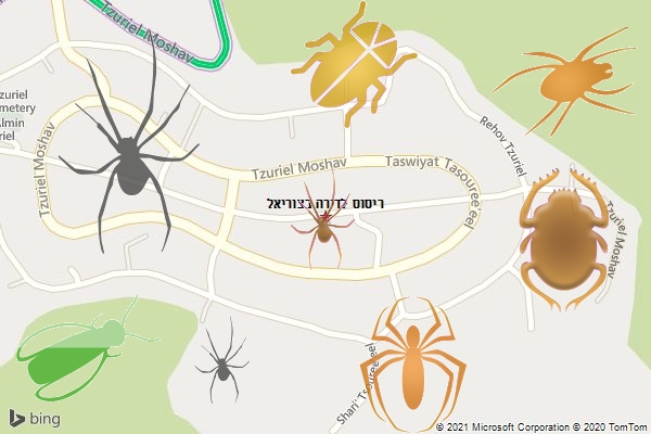 ריסוס לדירה בצוריאל