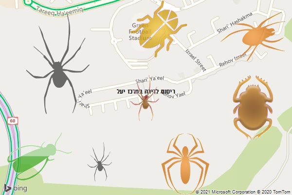 ריסוס לדירה במרכז יעל