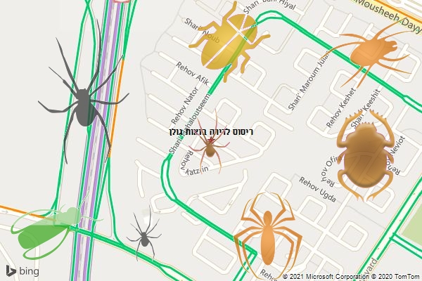 ריסוס לדירה בנאות גולן