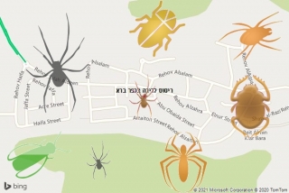 שירות ריסוס בכפר ברא - ריסוס לדירה בכפר ברא