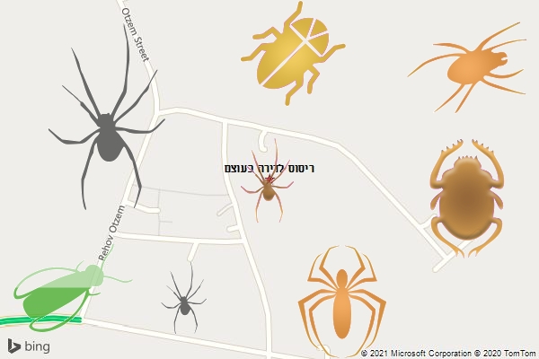 ריסוס לדירה בעוצם