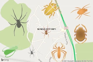 שירות ריסוס בגבעת עוז - ריסוס לדירה בגבעת עוז