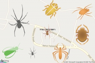  בחדיד - ריסוס לדירה בחדיד