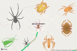 שירות ריסוס בגלאון - ריסוס לדירה בגלאון