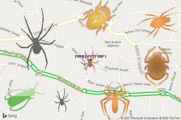 ריסוס לדירה בסח׳נין