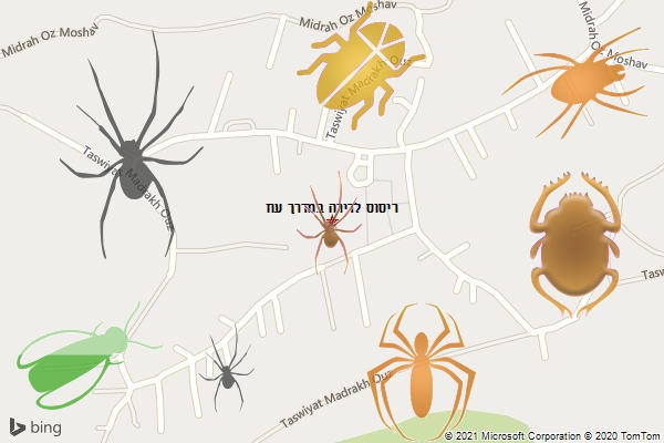ריסוס לדירה במדרך עוז