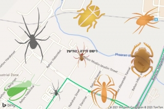 שירות ריסוס במודיעין - ריסוס לדירה במודיעין