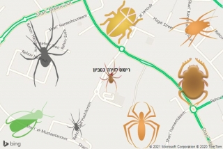 שירות ריסוס בסביון - ריסוס לדירה בסביון