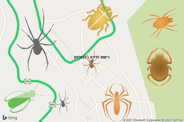 ריסוס לדירה במרגליות
