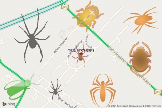 שירות ריסוס בגדיד - ריסוס לדירה בגדיד