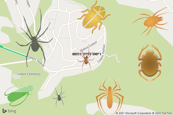 ריסוס לדירה בלוטם