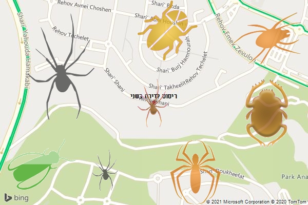 ריסוס לדירה בשני