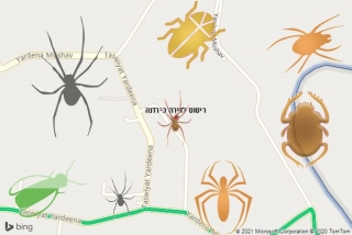 שירות ריסוס בירדנה - ריסוס לדירה בירדנה