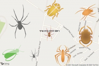 שירות ריסוס בבית עריף - ריסוס לדירה בבית עריף