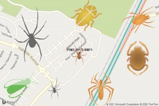 שירות ריסוס בשליו - ריסוס לדירה בשליו