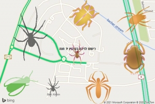 שירות ריסוס בקיבוץ יד חנה - ריסוס לדירה בקיבוץ יד חנה