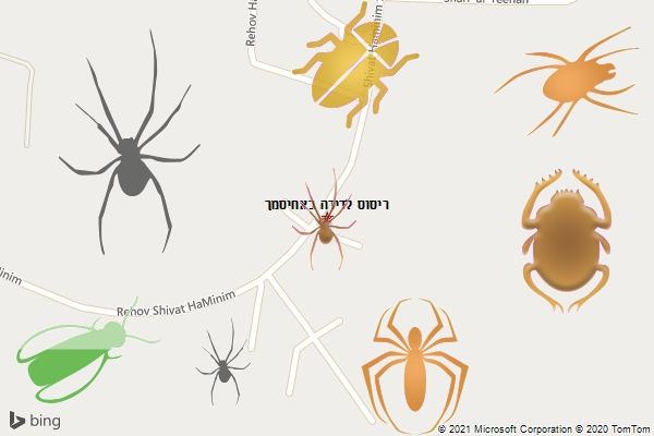 ריסוס לדירה באחיסמך