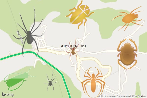 ריסוס לדירה בצובה